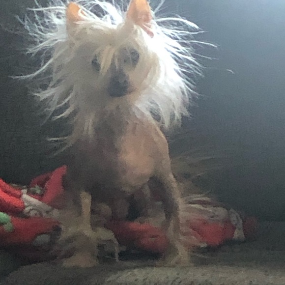 Meet your Posher, Maryann - Picture 4 of 4